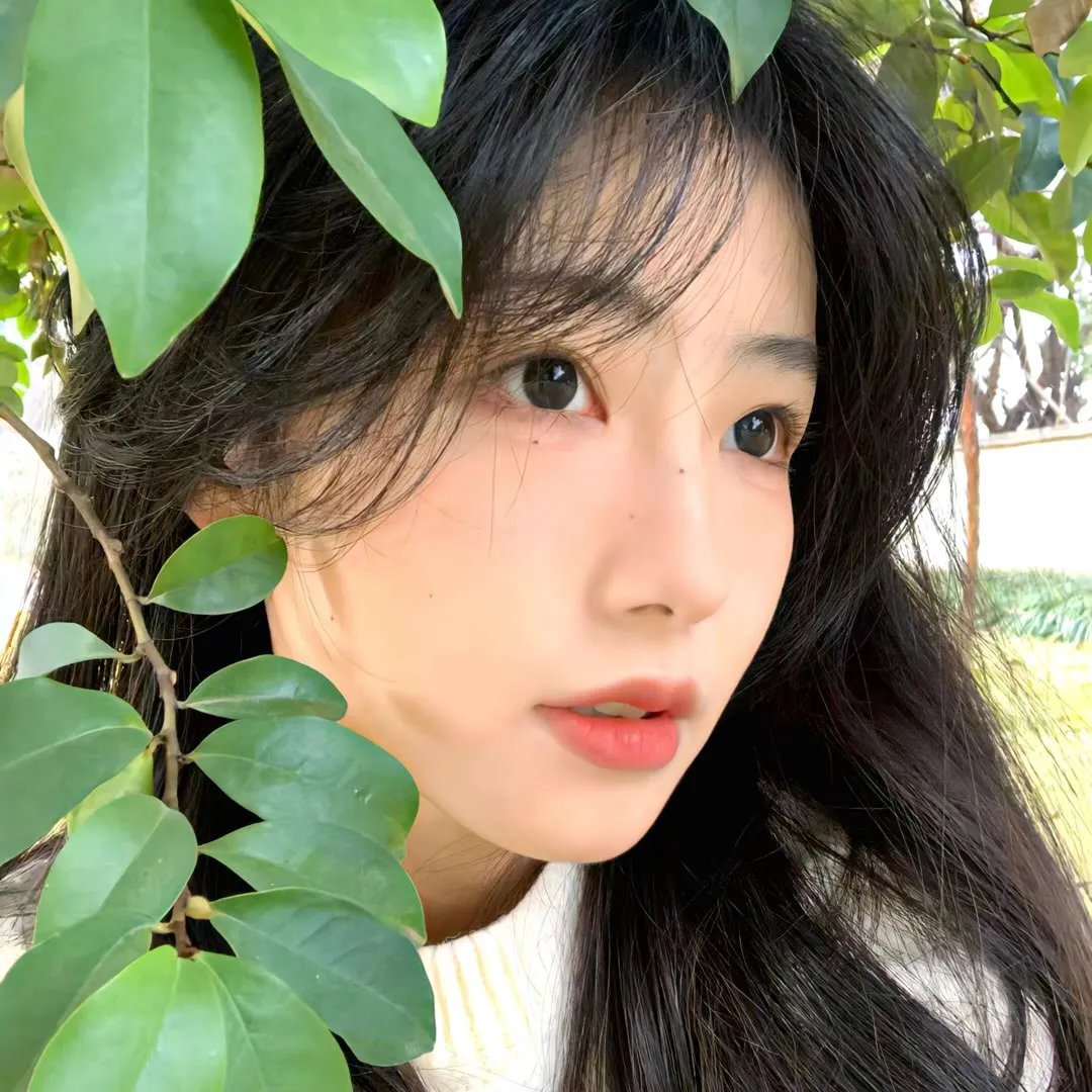 晚爱拾照终相逢